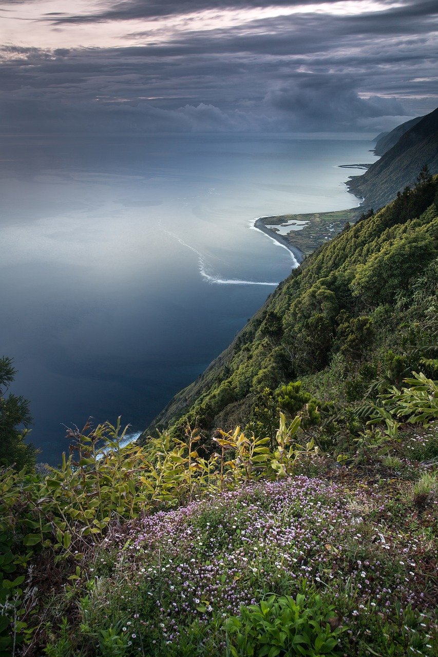 découvrez l'importance de la biodiversité, un réseau vital d'espèces et d'écosystèmes qui soutient la vie sur terre. apprenez comment la préserver et ses bienfaits pour notre planète.