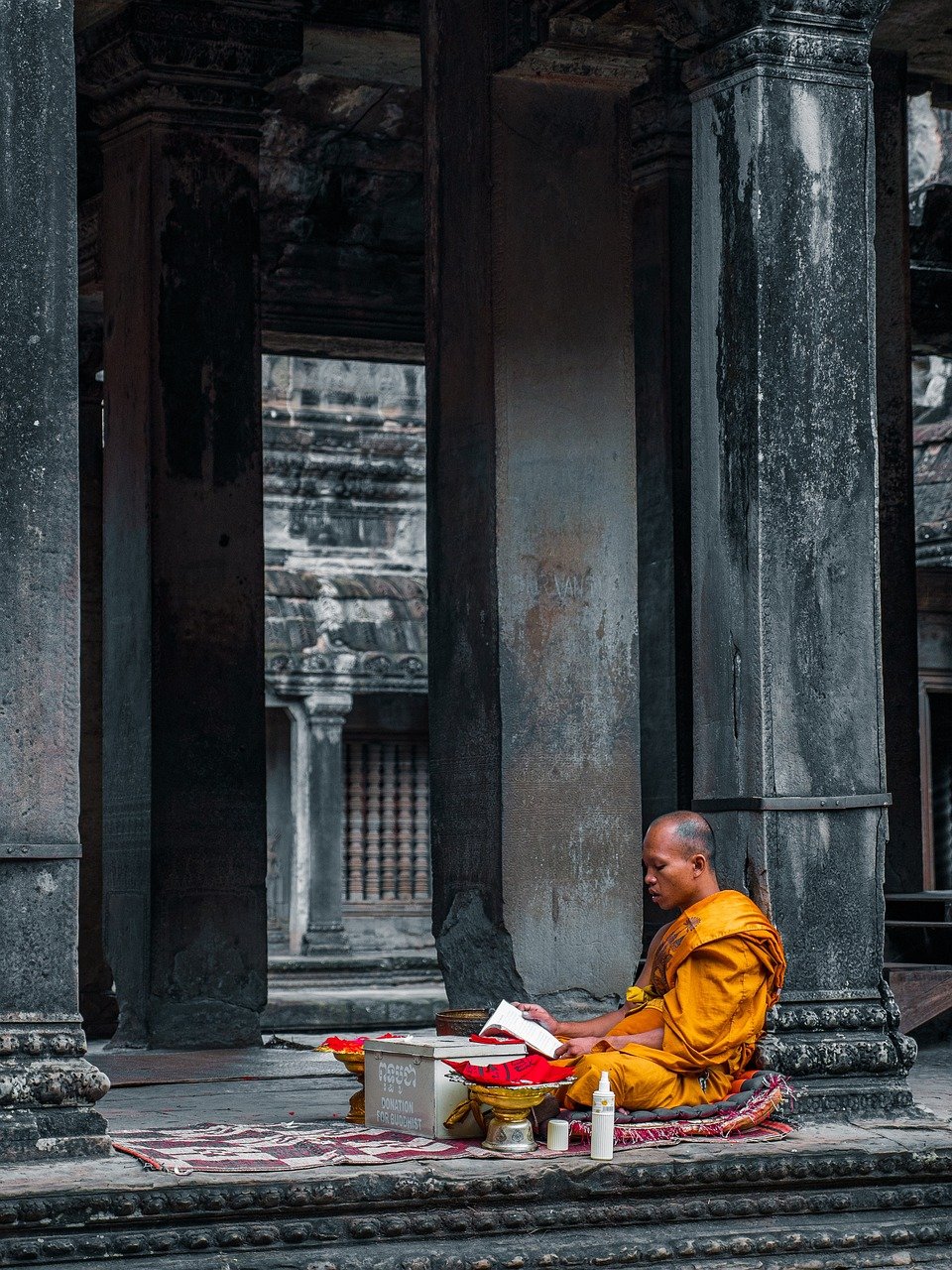 découvrez la pleine conscience (mindfulness) : une pratique qui vous aide à vivre l'instant présent, réduire le stress et améliorer votre bien-être mental et émotionnel. apprenez des techniques simples pour intégrer la mindfulness dans votre quotidien.