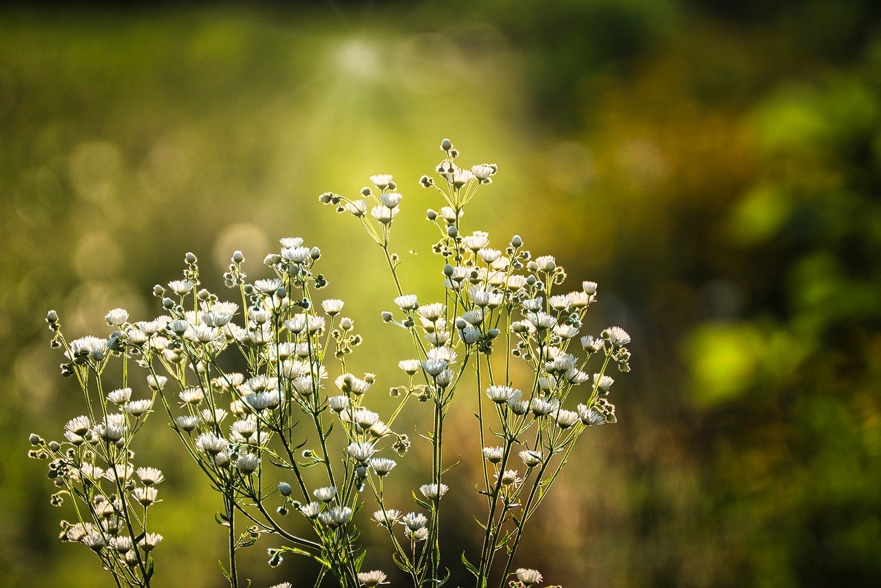 découvrez l'importance de la respiration dans votre bien-être quotidien. apprenez des techniques de respiration qui peuvent améliorer votre santé mentale, réduire le stress et augmenter votre énergie. explorez les bienfaits de chaque souffle pour une vie pleine de vitalité.