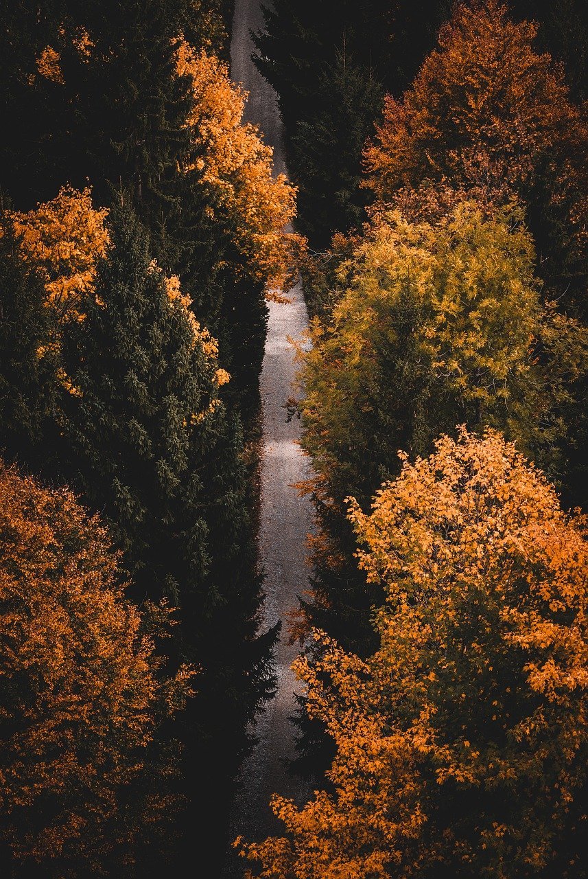 découvrez les bienfaits de la mindfulness : une pratique qui favorise la relaxation, la concentration et le bien-être intérieur. apprenez des techniques simples pour intégrer la pleine conscience dans votre quotidien et améliorer votre qualité de vie.