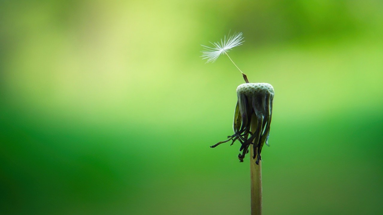 découvrez les bienfaits de la mindfulness : une pratique qui favorise la pleine conscience, réduit le stress et améliore votre bien-être mental. apprenez à vivre dans l'instant présent et à cultiver la sérénité au quotidien.